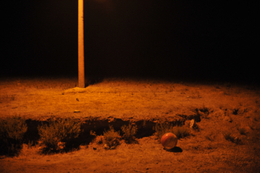Loci