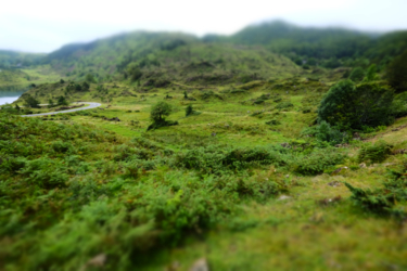 Topia