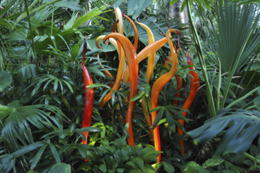 Bestia Vegetalis